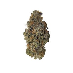 Violet Fog (AAAA) – Broke Kid Grows