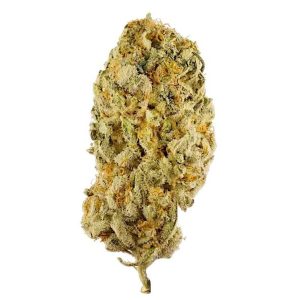 jack herer – sativa flower – 3.5g