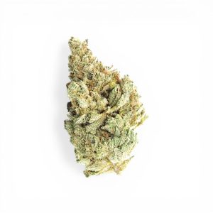 Zkittles Mango Asia Edition — exotic tropical hybrid combining candy Zkittles sweetness with juicy mango. Limited edition, premium quality.