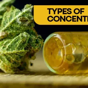 CONCENTRATES